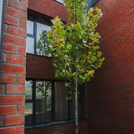 Elegant 2br Escape - Zorilor Charm With Parking Клуж-Напока